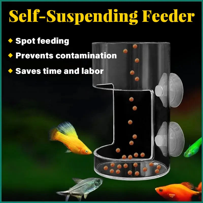 🔥 50% DE RÉDUCTION ! ✨ Anneau Nourrisseur pour Aquarium - Alimentation sans Arrêt de la Pompe, Fixation par Ventouses, Entretien Facile pour une Eau Propre 🐟💧 - Image 2