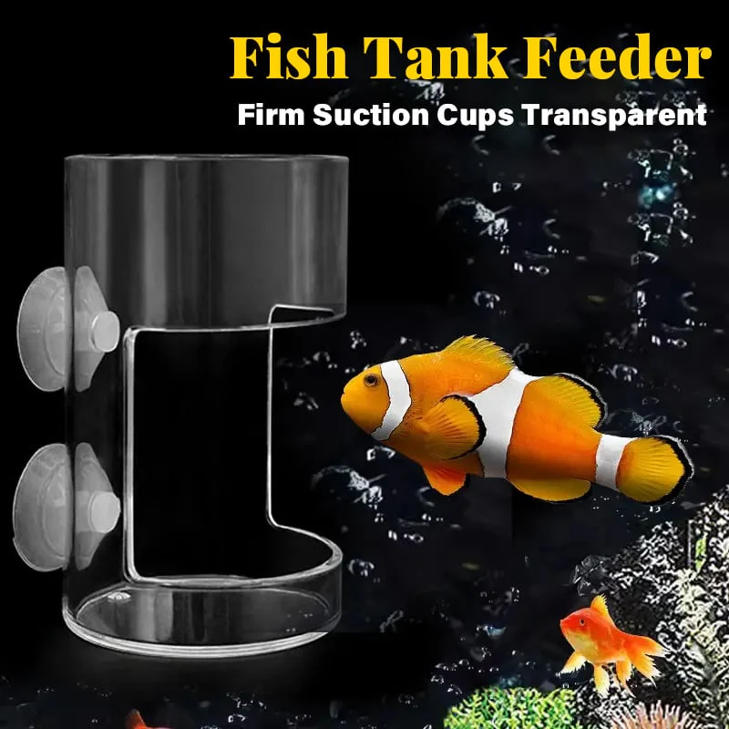 🔥 50% DE RÉDUCTION ! ✨ Anneau Nourrisseur pour Aquarium - Alimentation sans Arrêt de la Pompe, Fixation par Ventouses, Entretien Facile pour une Eau Propre 🐟💧 - Image 4