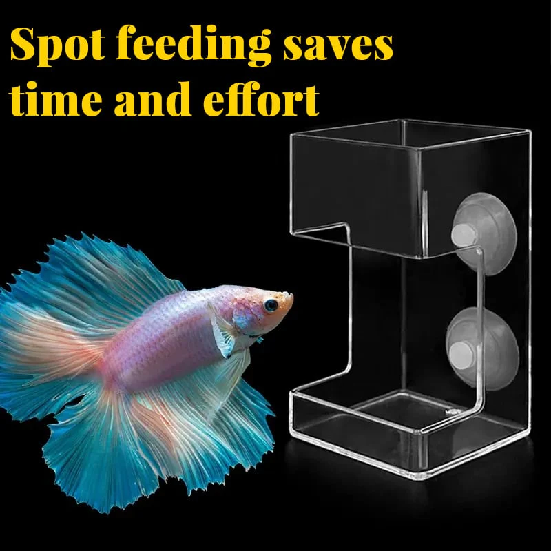 🔥 50% DE RÉDUCTION ! ✨ Anneau Nourrisseur pour Aquarium - Alimentation sans Arrêt de la Pompe, Fixation par Ventouses, Entretien Facile pour une Eau Propre 🐟💧 - Image 5