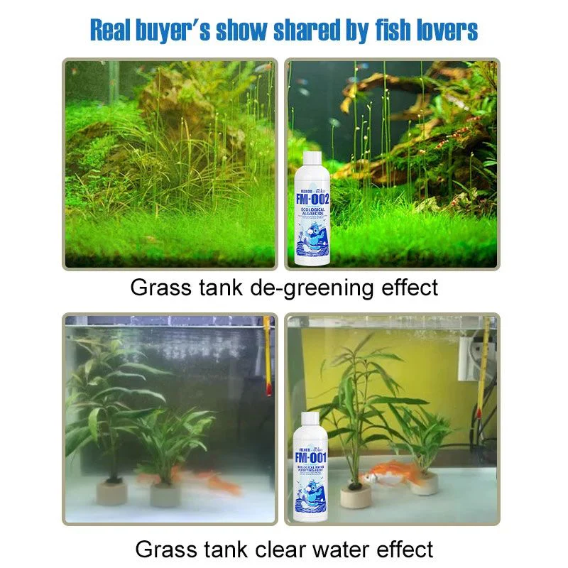 🔥Purificateur d'eau pour aquarium, éliminateur d'algues - Image 7