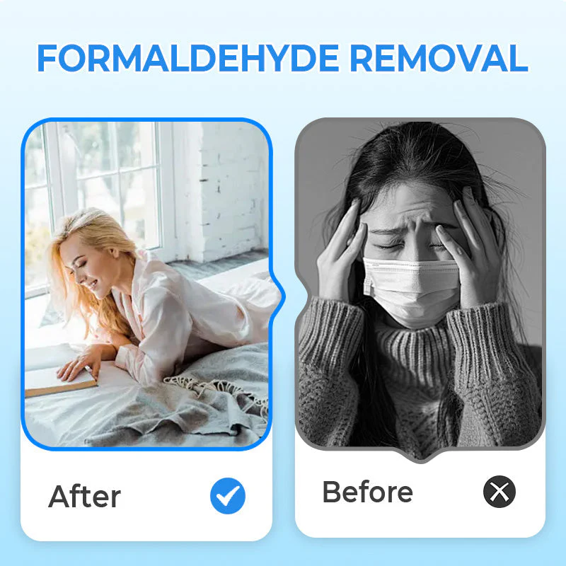 📢📢50 % DE RÉDUCTION !! ⏰Purificateur d'air anti-formaldéhyde pour la maison🍃 - Image 2