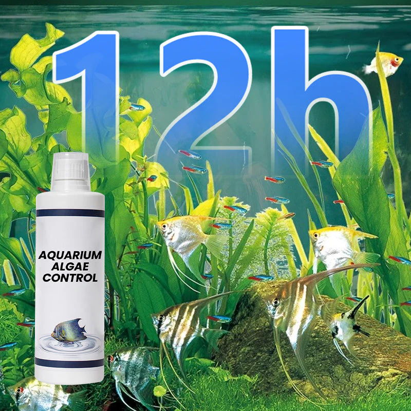 🏆✨Achetez 3 obtenez  2 gratuit💧Puissant clarificateur d'eau pour aquarium - Image 4
