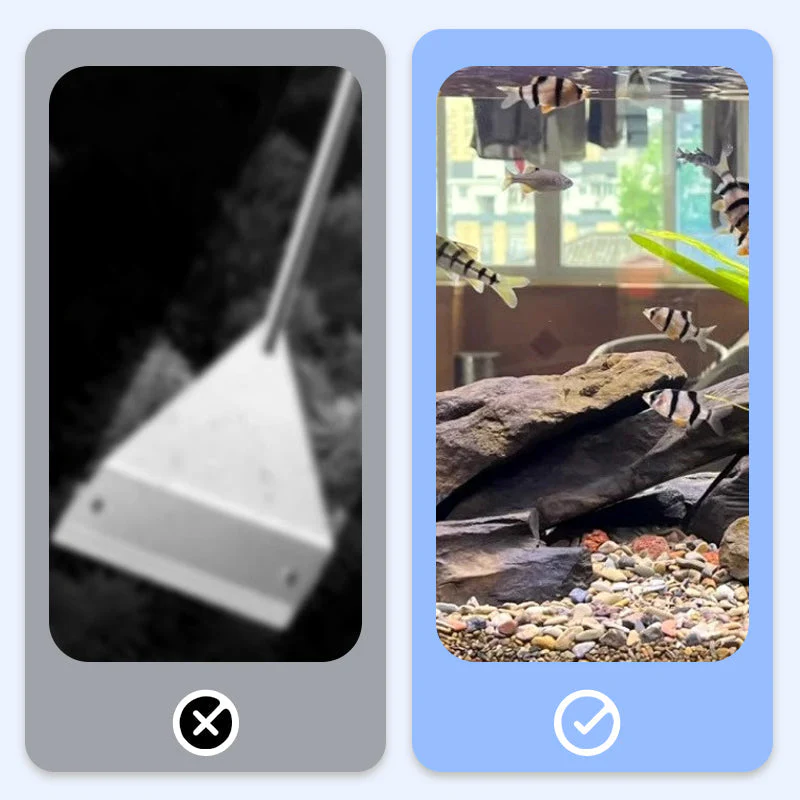 🏆✨Achetez 3 obtenez  2 gratuit💧Puissant clarificateur d'eau pour aquarium - Image 8