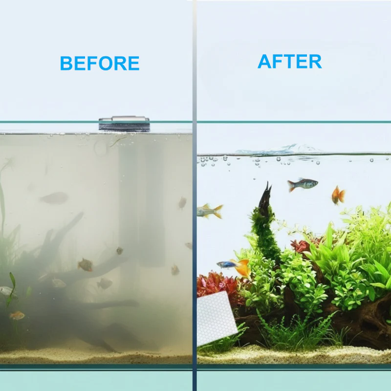 Feuilles clarifiantes pour eau d'aquarium - Image 3
