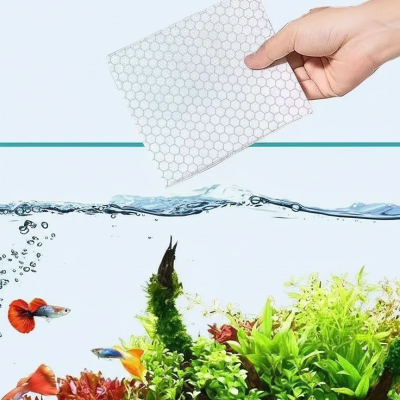 Feuilles clarifiantes pour eau d'aquarium - Image 8