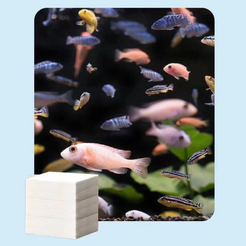 Feuilles clarifiantes pour eau d'aquarium - Image 9