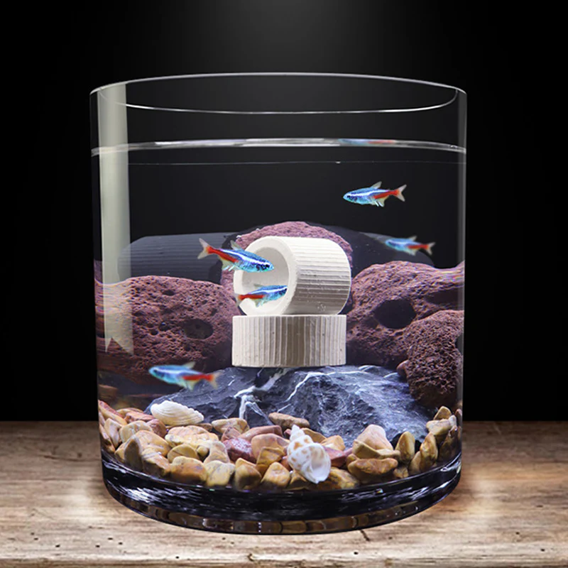 📢📢50 % de réduction !! ⏰Aquatic Plant Holder Ring Set - Image 2
