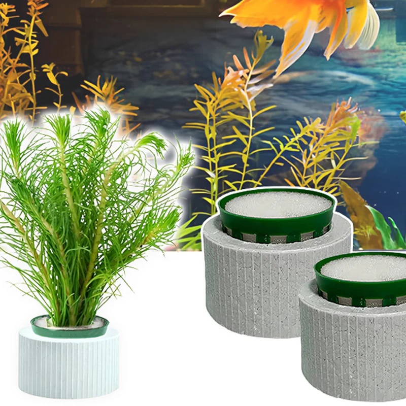 📢📢50 % de réduction !! ⏰Aquatic Plant Holder Ring Set - Image 5