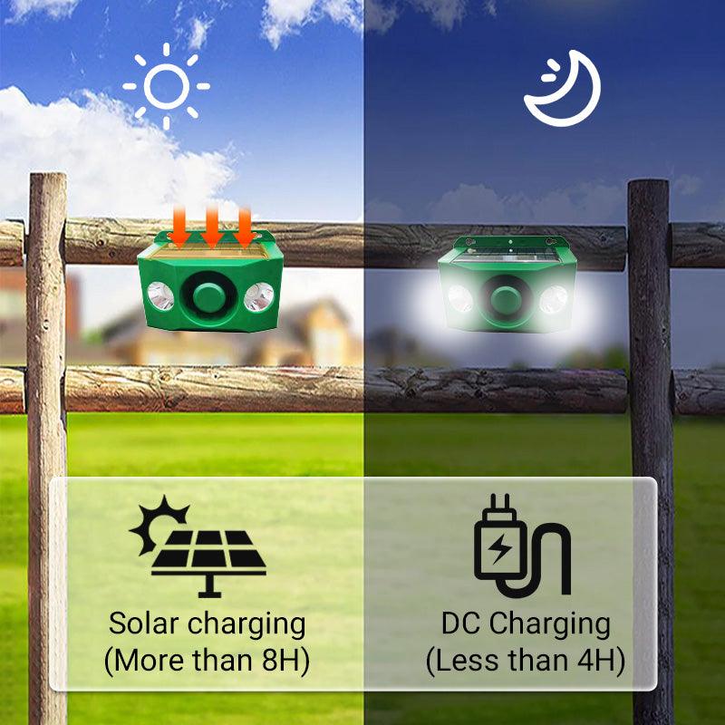 đ„đŁđŁLampe d'avertissement solaire anti - bĂȘte avec volume Ă©levĂ© - Image 6