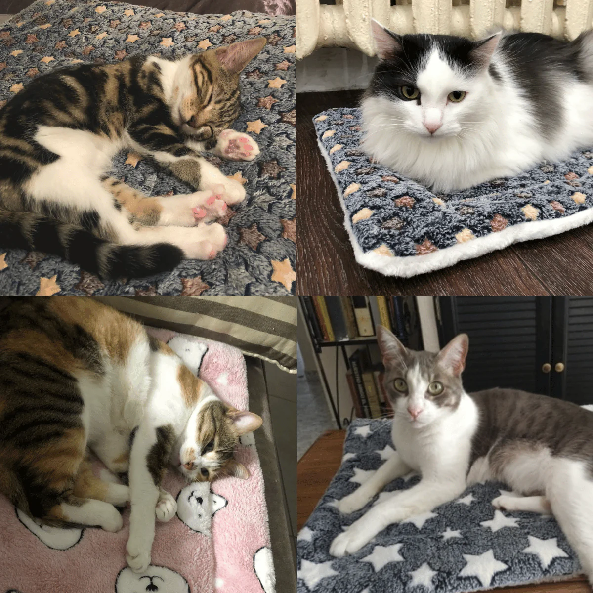 🐾Soldes exceptionnels 40 % de réduction🐱2025 Nouvelle couverture pour animaux de compagnie ultra confortable et apaisante - Image 5