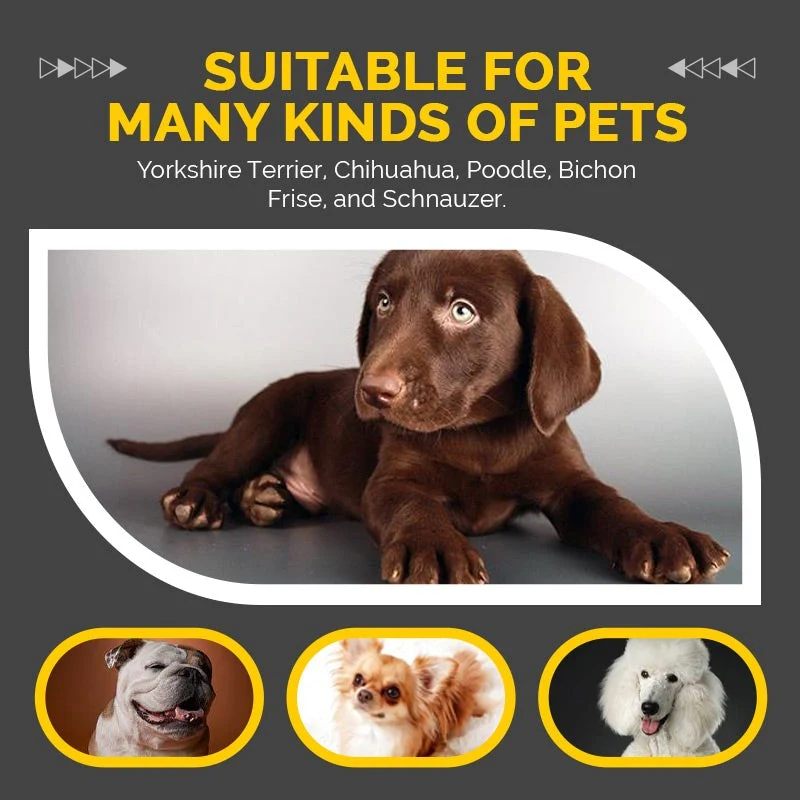 Waterproof shoes for pets (4 pcs) - Image 4