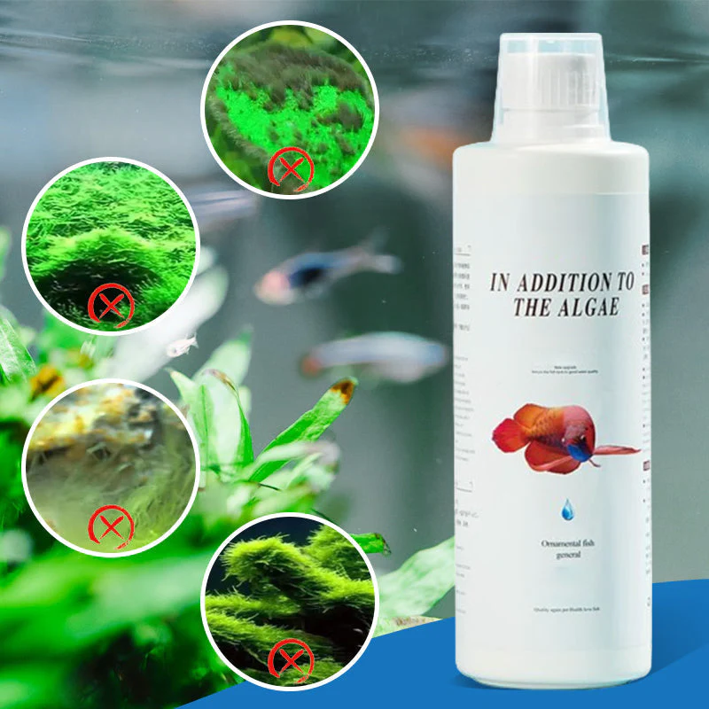 Algicide efficace pour aquariumđż