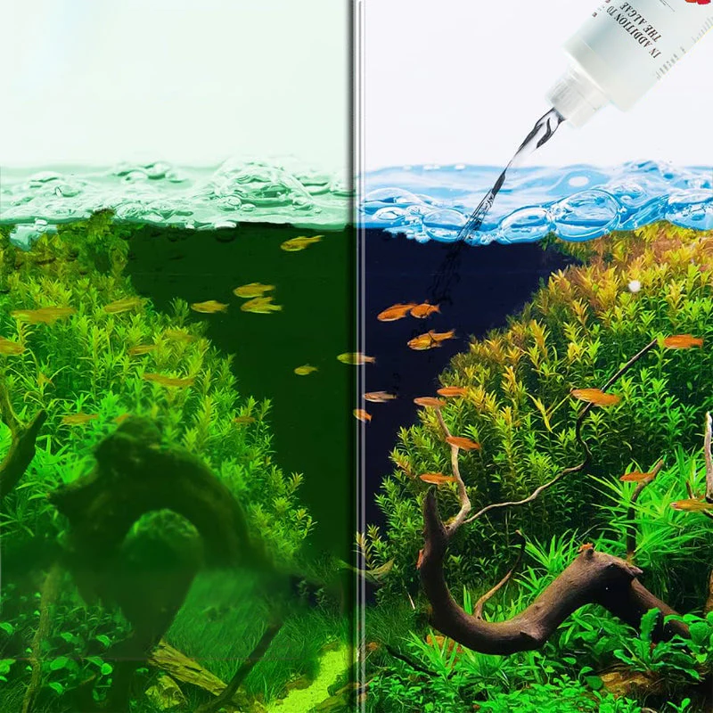 Algicide efficace pour aquariumđż - Image 2
