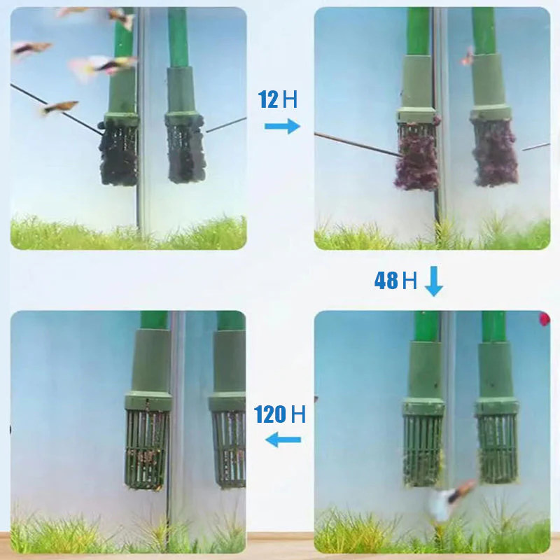 Algicide efficace pour aquariumđż - Image 8