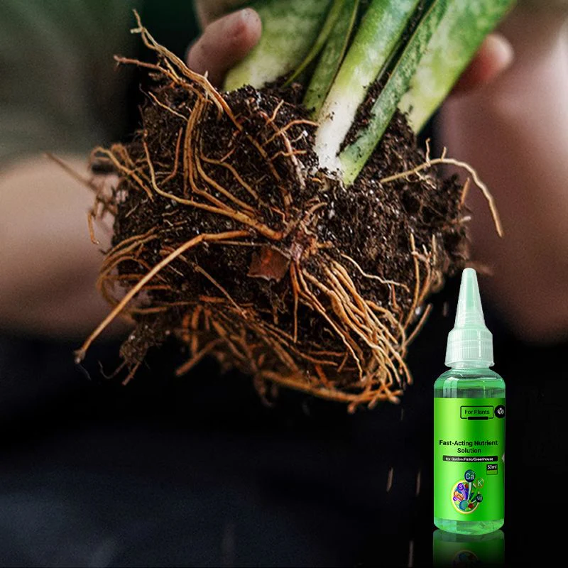 🌱La protection de l'environnement est une tendance, l'écologie est une attitude!⏰Solution nutritive à action rapide pour les plantes - Image 2
