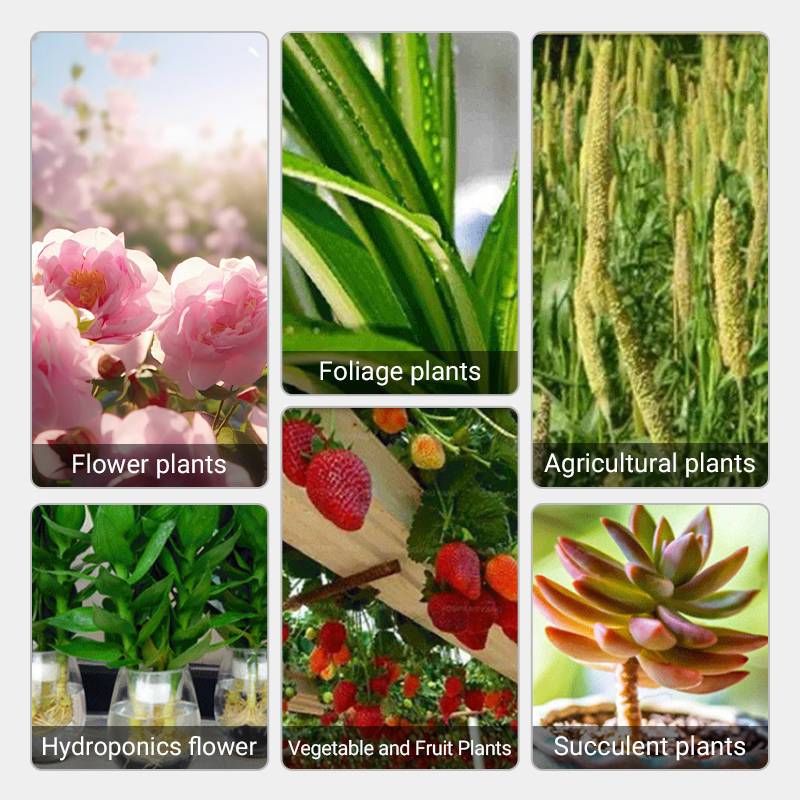 🌱La protection de l'environnement est une tendance, l'écologie est une attitude!⏰Solution nutritive à action rapide pour les plantes - Image 4
