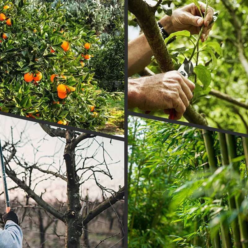 🌿 60% DE RÉDUCTION + LIVRAISON GRATUITE ! ✨ Ciseaux Électriques d'Élagage - Coupe Précise et Sans Effort, Léger et Autonome pour Jardinage 🍃📦 - Image 7