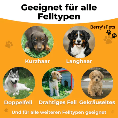 🐶🐱💥🔥 Brosse professionnelle pour animaux de compagnie - Image 3