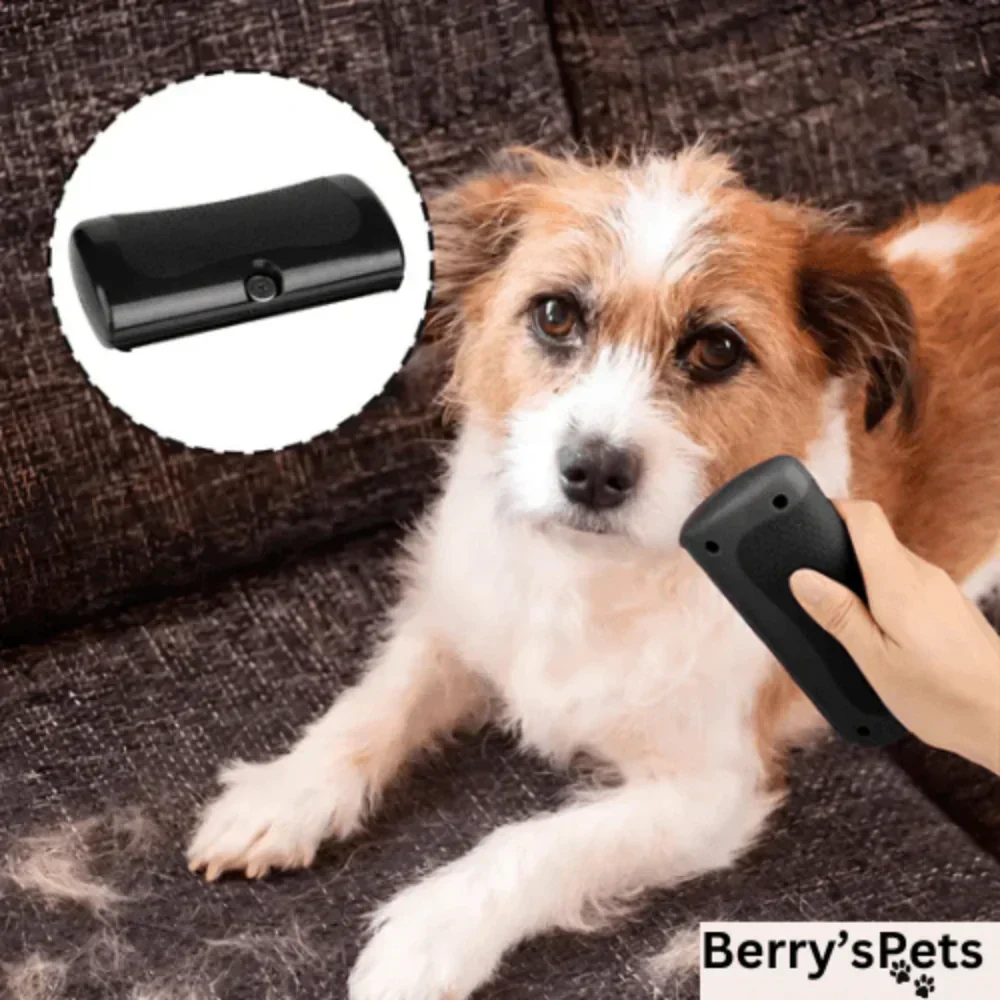 🐶🐱💥🔥 Brosse professionnelle pour animaux de compagnie - Image 7