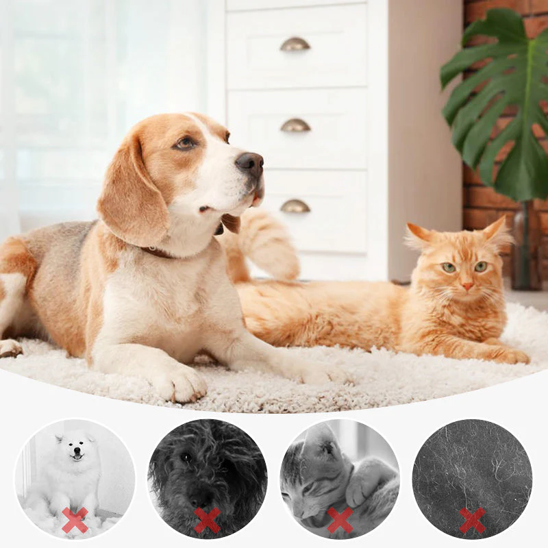 🔥 🐶 Vente chaude du nouvel an 50% de réduction 🐱 Peigne d'épilation PET Spray