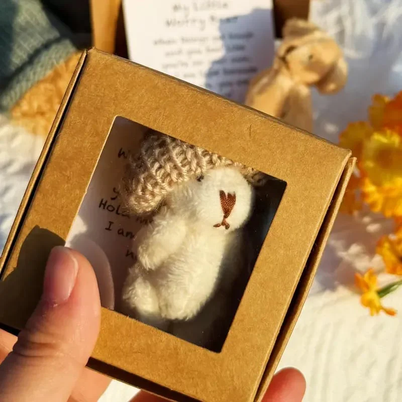 🔥Dernier jour prix spécial-50% de réduction🎁Mini ours en peluche fait main dans une boîte - Image 5