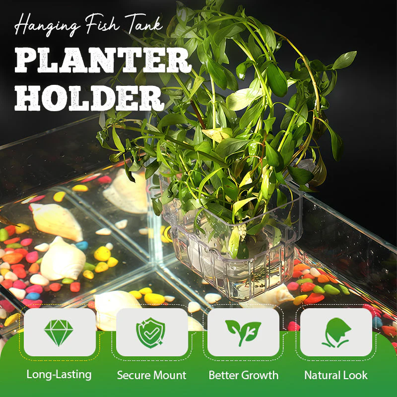 📢📢Achetez-en 1, obtenez-en 1 gratuitement✨Support suspendu pour aquarium et plante