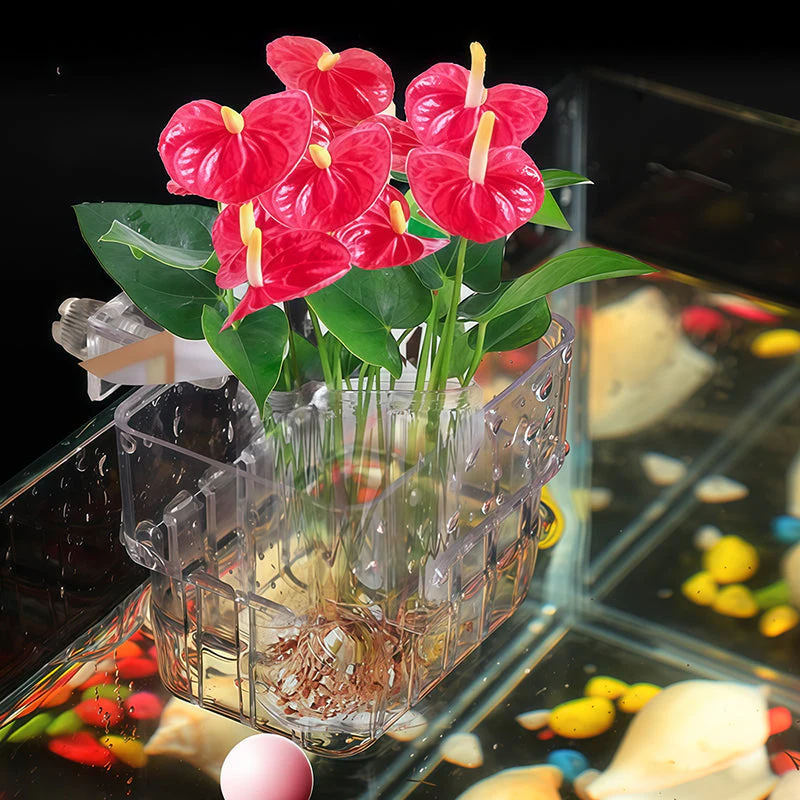 📢📢Achetez-en 1, obtenez-en 1 gratuitement✨Support suspendu pour aquarium et plante - Image 4