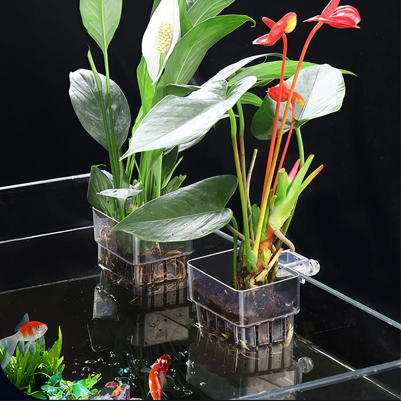 📢📢Achetez-en 1, obtenez-en 1 gratuitement✨Support suspendu pour aquarium et plante - Image 5