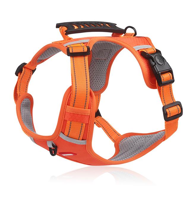 🐕No Pull Dog Harness for Pets - Image 6