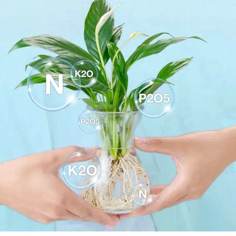đ„Solution nutritive hydroponique pour la croissance des plantesâïžOffre limitĂ©e : plus que 30 articles disponibles !đđ - Image 3