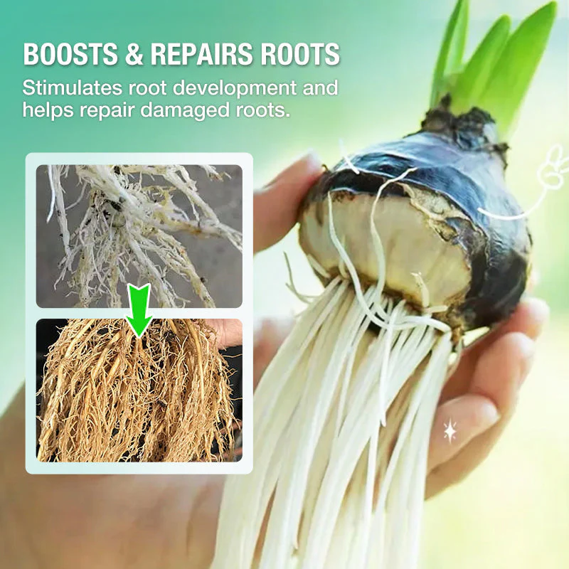 đ„Solution nutritive hydroponique pour la croissance des plantesâïžOffre limitĂ©e : plus que 30 articles disponibles !đđ - Image 6