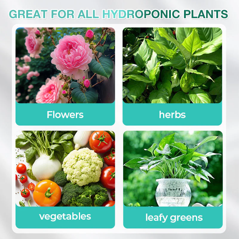 🏡Achetez 3 obtenez-en 2 GRATUITE !🪴Solution nutritive hydroponique pour la croissance des plantes☘️💦 - Image 5