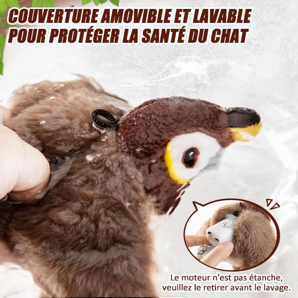 🔥Dernier jour 50% de réduction🐦Jouets à l'herbe à chat pour oiseaux à ailes battantes - Image 10