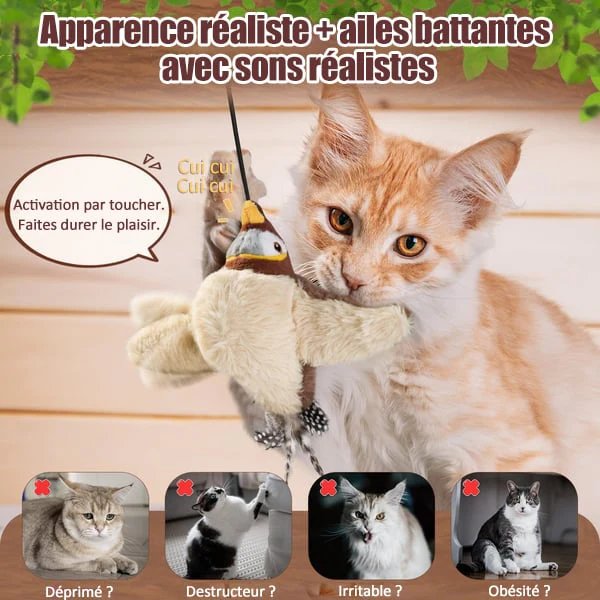🔥Dernier jour 50% de réduction🐦Jouets à l'herbe à chat pour oiseaux à ailes battantes - Image 11