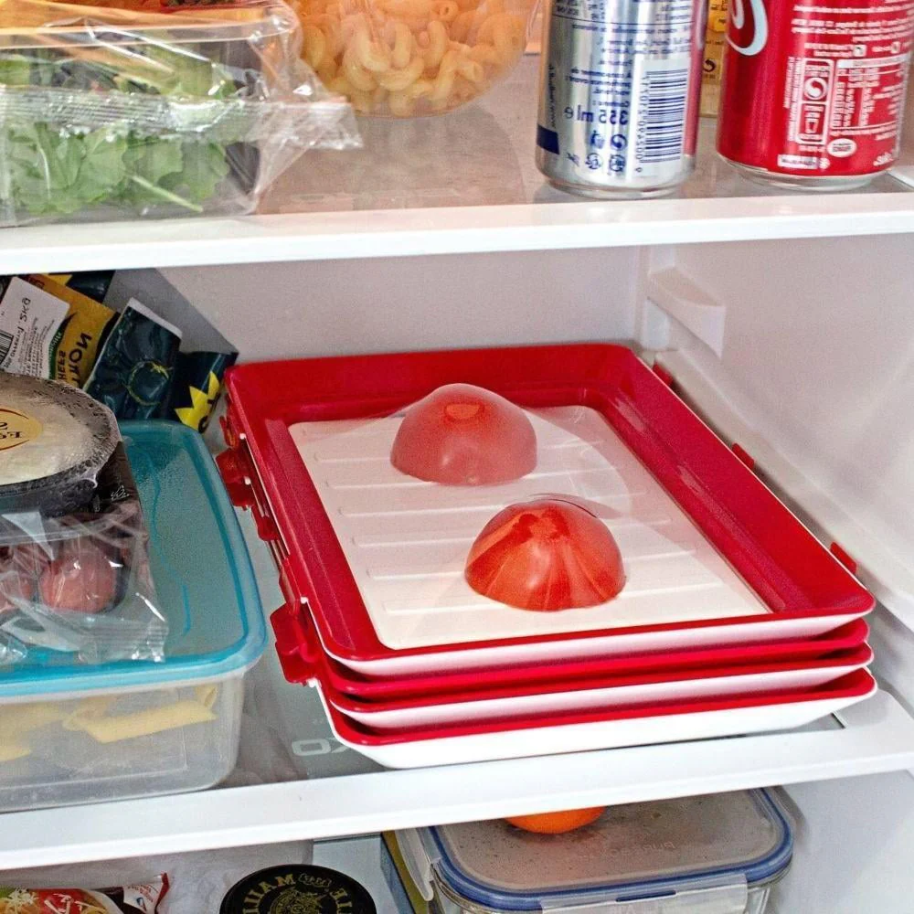 🌿  Conception écologique - plateaux de conservation des aliments réutilisables ( 🔥 Vente chaude achetez plus, obtenez plus! 🔥） - Image 12
