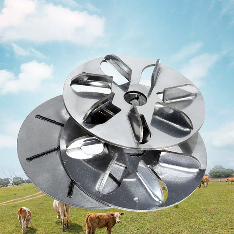 Disque grattoir pour éliminer les poils de porc, permettant un gain de temps