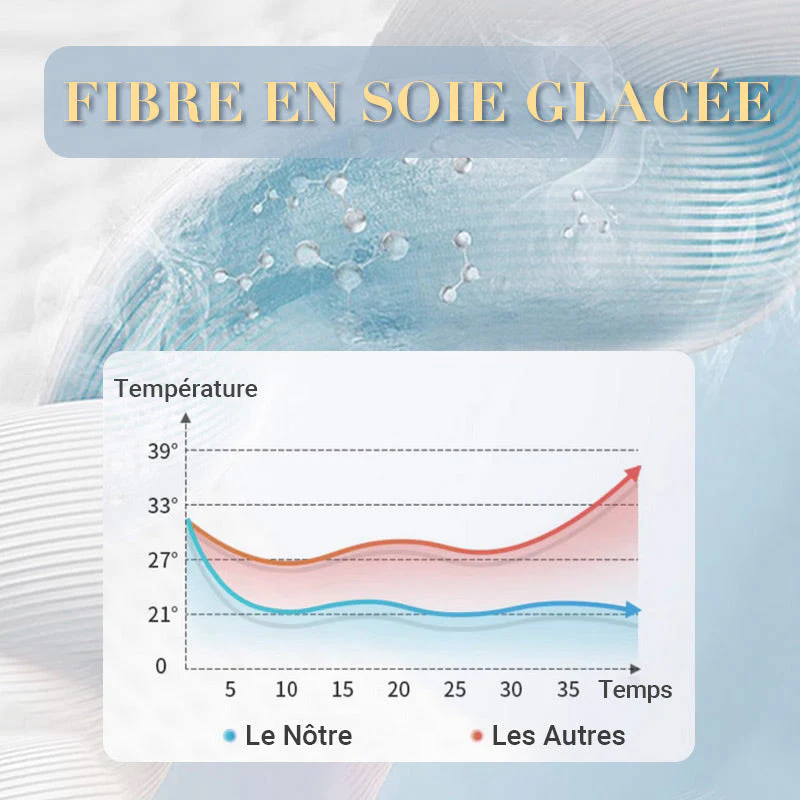🏆 50% de réduction ❄️ Ensemble de literie quatre pièces en velours de haute qualité 💕 - Image 2