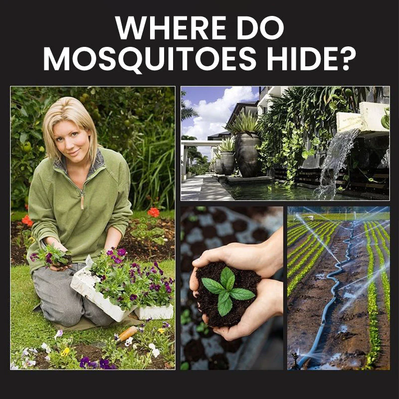 ✨Retour limité en été&Durée limitée Achetez 3 obtenez 2 gratuit✨🚫🦟Solar Mosquito Zapper Lamp Stake - Image 2