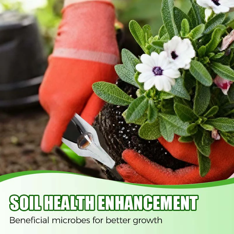 ⏰⏰⏰Achetez-en 2 et obtenez-en 1 gratuitement📍Booster naturel pour la régénération des plantes, riche en nutriments essentiels - Image 4