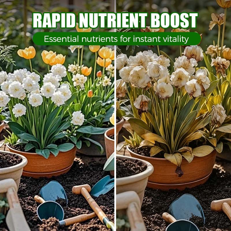⏰⏰⏰Achetez-en 2 et obtenez-en 1 gratuitement📍Booster naturel pour la régénération des plantes, riche en nutriments essentiels - Image 5