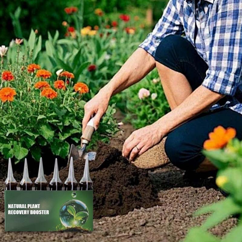 ⏰⏰⏰Achetez-en 2 et obtenez-en 1 gratuitement📍Booster naturel pour la régénération des plantes, riche en nutriments essentiels - Image 9