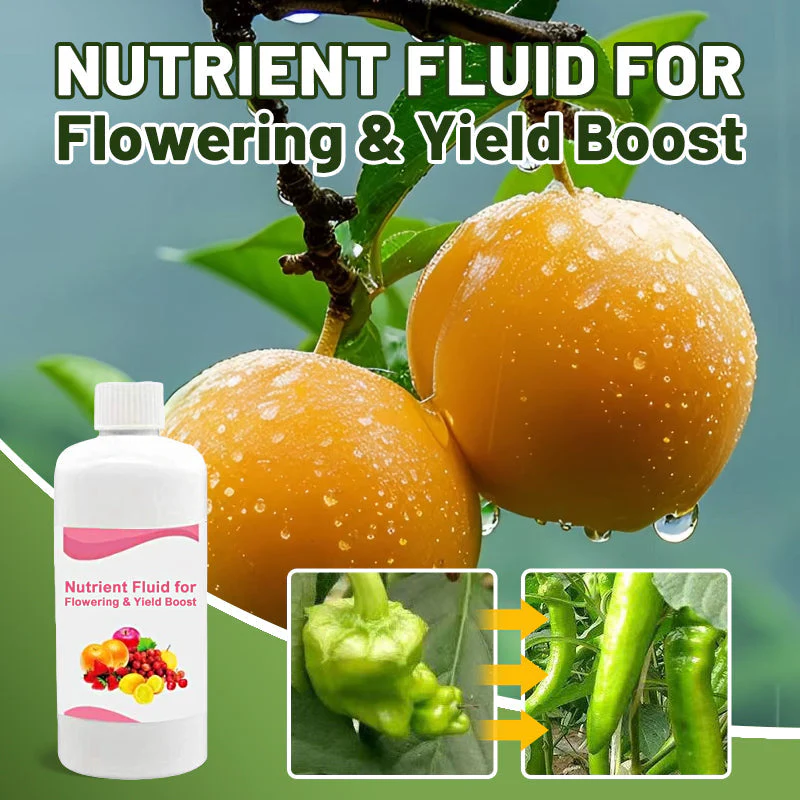 ✨🍎Hot Sale&Achetez-en 3 et obtenez-en 2 gratuitement✨Solution nutritive pour floraison abondante et rendement accru