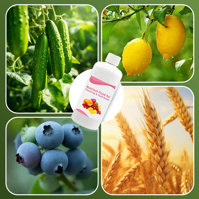 ✨🍎Hot Sale&Achetez-en 3 et obtenez-en 2 gratuitement✨Solution nutritive pour floraison abondante et rendement accru - Image 2