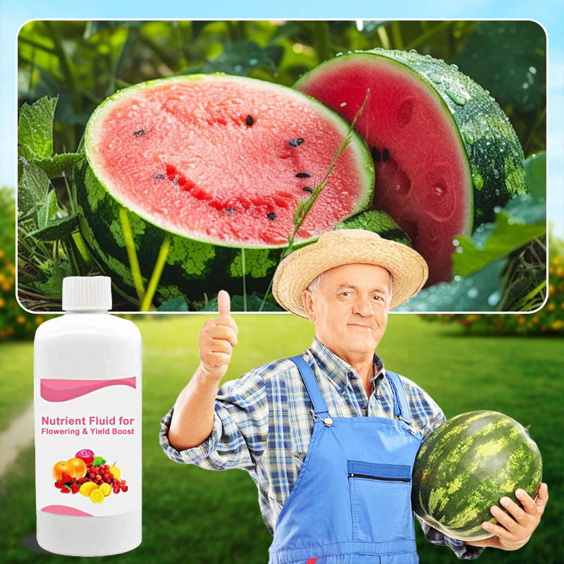 ✨🍎Hot Sale&Achetez-en 3 et obtenez-en 2 gratuitement✨Solution nutritive pour floraison abondante et rendement accru - Image 6