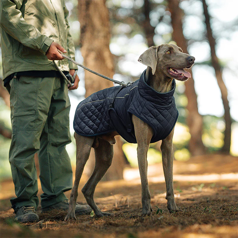 đŸ Vendredi noir : 50 % de rĂ©duction ! Manteau rĂ©flĂ©chissant dâhiver pour chiens 2025 â Doublure Ă©paisse, col montant & sĂ©curitĂ© nocturne đđ§„ - Image 2