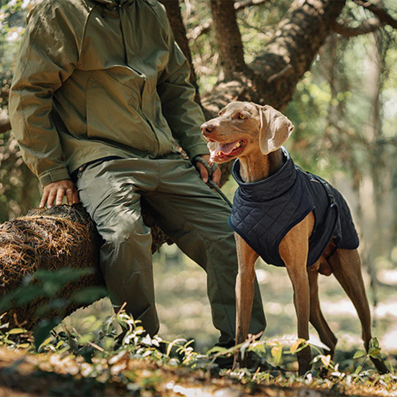 đŸ Vendredi noir : 50 % de rĂ©duction ! Manteau rĂ©flĂ©chissant dâhiver pour chiens 2025 â Doublure Ă©paisse, col montant & sĂ©curitĂ© nocturne đđ§„ - Image 9
