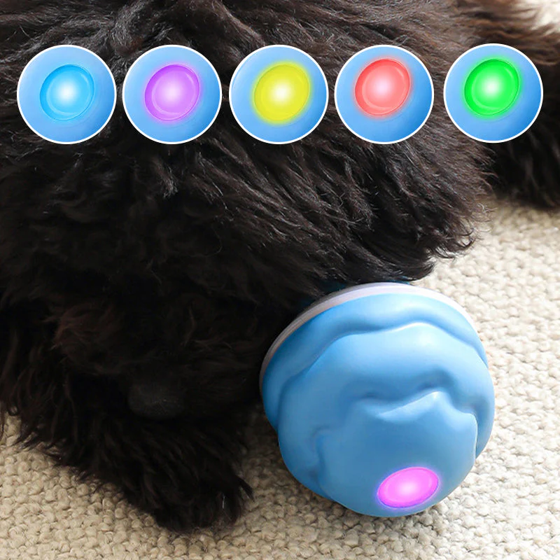📢📢50% de réduction !!! 🎅 Balle Interactive Électronique Apaisante pour Animaux de Compagnie – Trois Modes, Évitement des Obstacles & Plus! 🐶💡 - Image 8