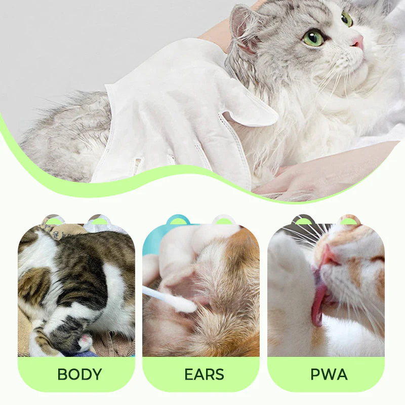 🎉 Promotion du dernier jour - 50% de réduction 🫧Gants de nettoyage sans rinçage pour animaux de compagnie - Image 5