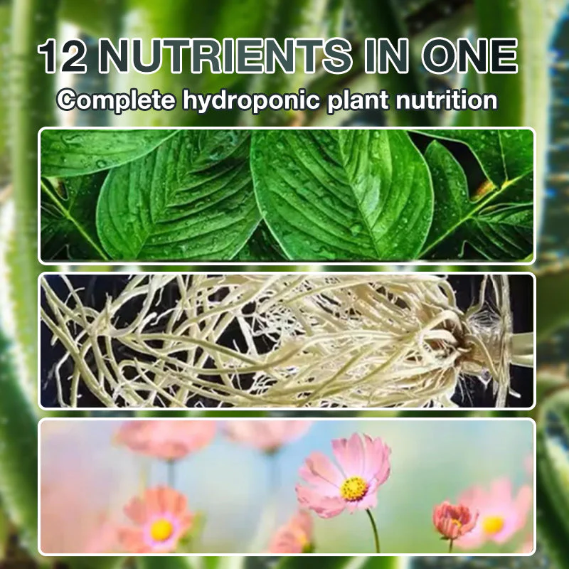 📢Grande vente!!!! ⏰Solution nutritive pour plantes hydroponiques - Image 5