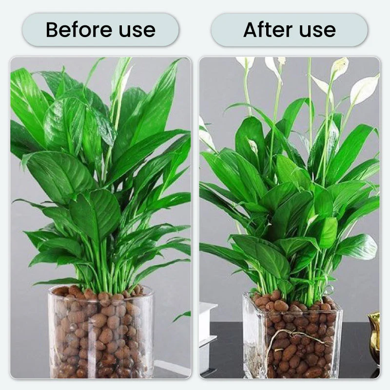 Comprimés effervescents antibactériens puissants pour fleurs - Image 5